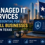 why managed it services small businesses texas